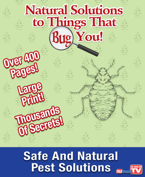 Natural Solutions for Things That Bug You Offer Image